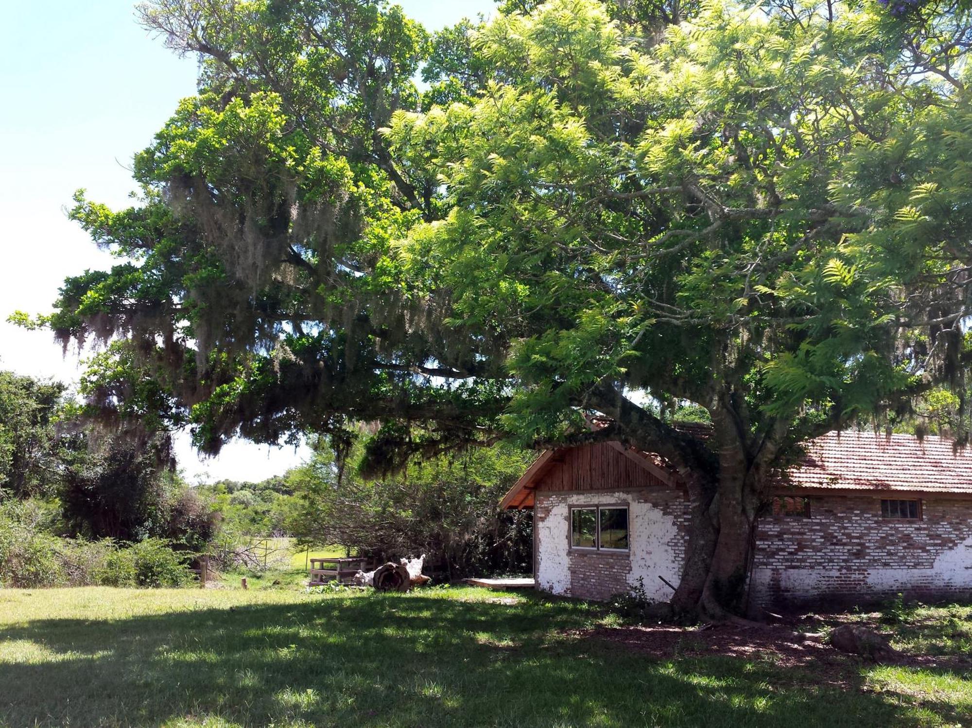 Aldeia Santuario Das Aves Tavares Szoba fotó