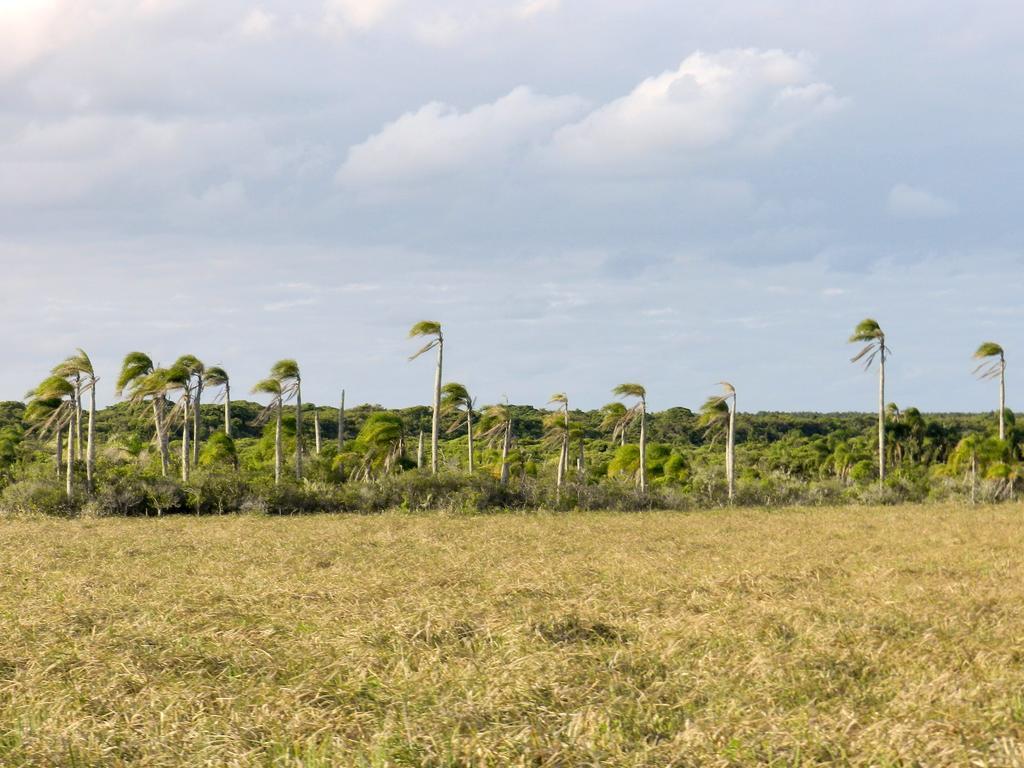 Aldeia Santuario Das Aves Tavares Kültér fotó