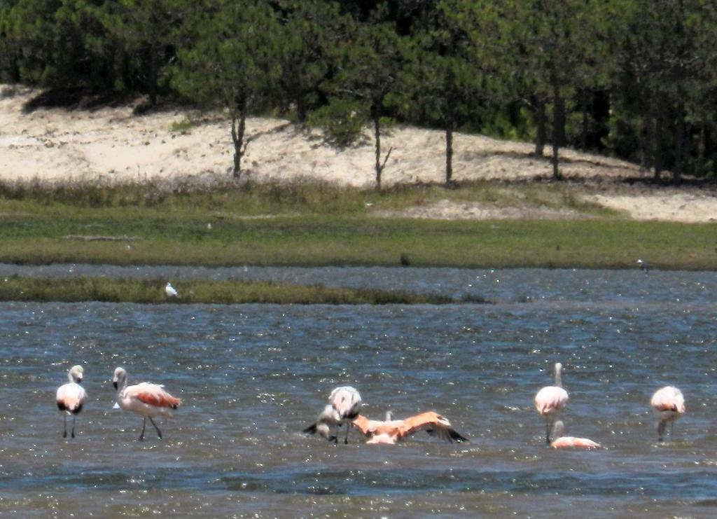 Aldeia Santuario Das Aves Tavares Kültér fotó