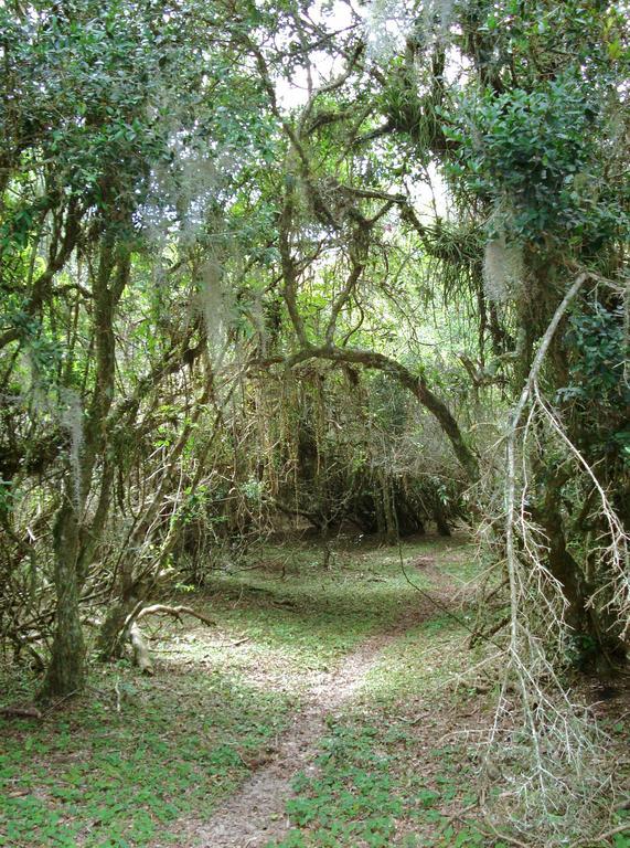 Aldeia Santuario Das Aves Tavares Kültér fotó