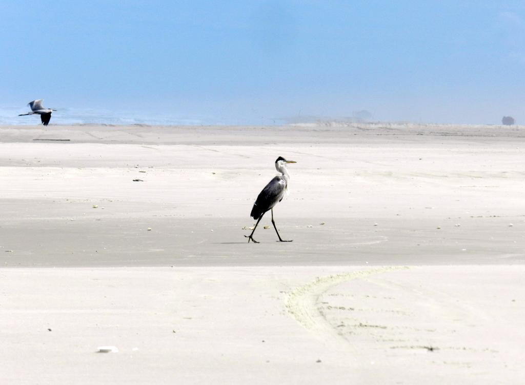 Aldeia Santuario Das Aves Tavares Kültér fotó