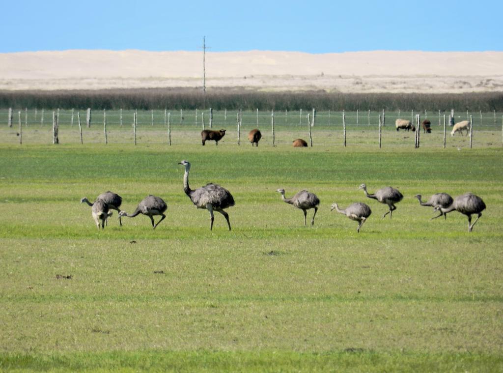 Aldeia Santuario Das Aves Tavares Kültér fotó