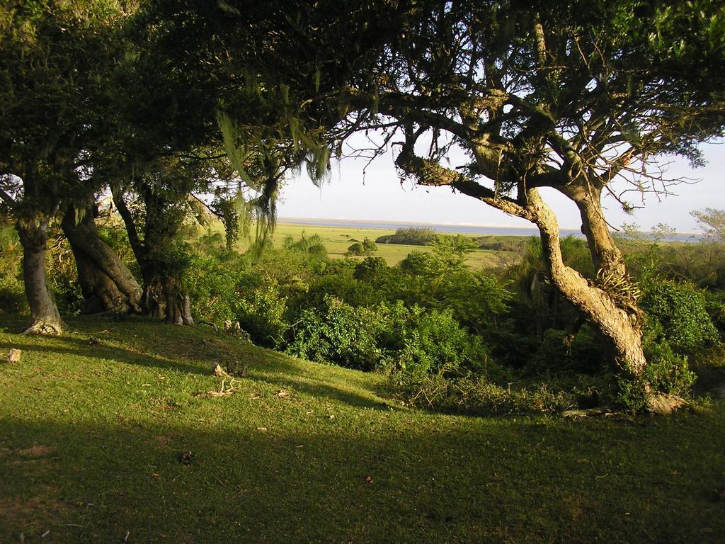 Aldeia Santuario Das Aves Tavares Kültér fotó